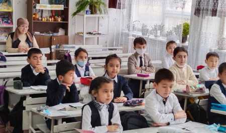 ChDPU talabalari tomonidan pedagogik amaliyot o'tkazishning o'rganilishi